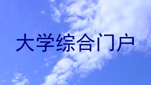 大学综合门户