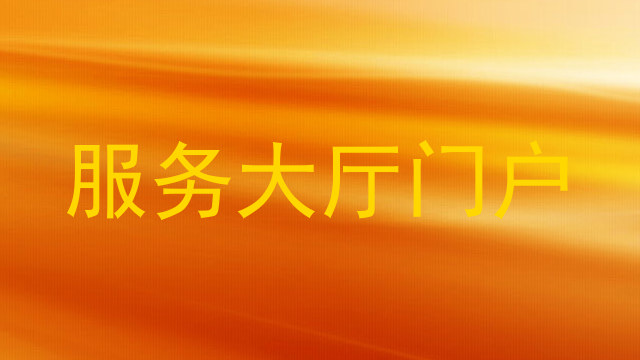 服务大厅门户