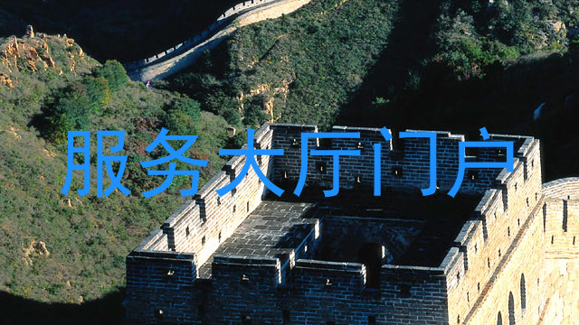 服务大厅门户