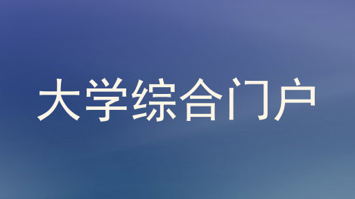 大学综合门户