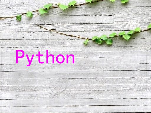 Python