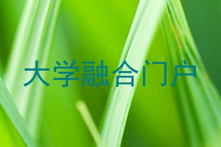 大学融合门户