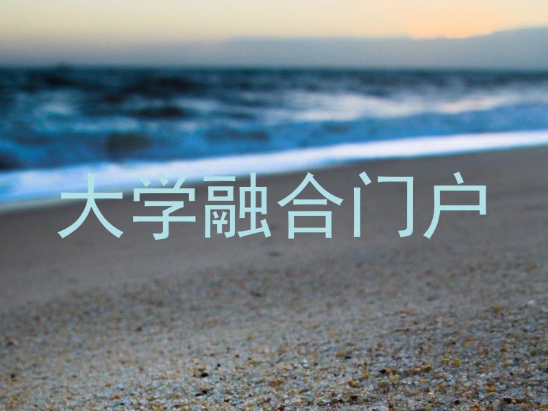 大学融合门户
