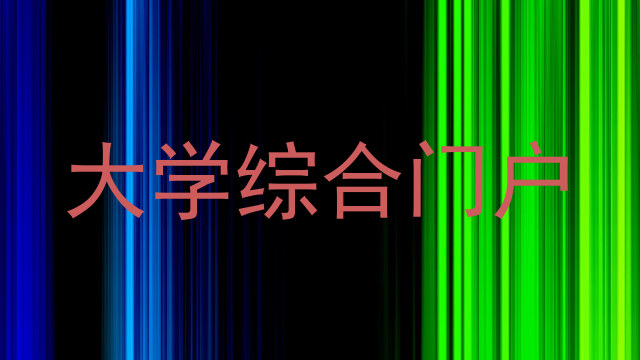 大学综合门户