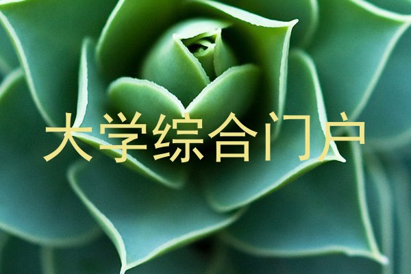 大学综合门户