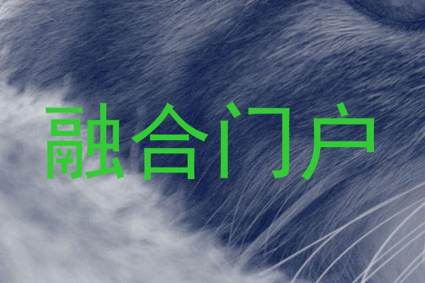 融合门户