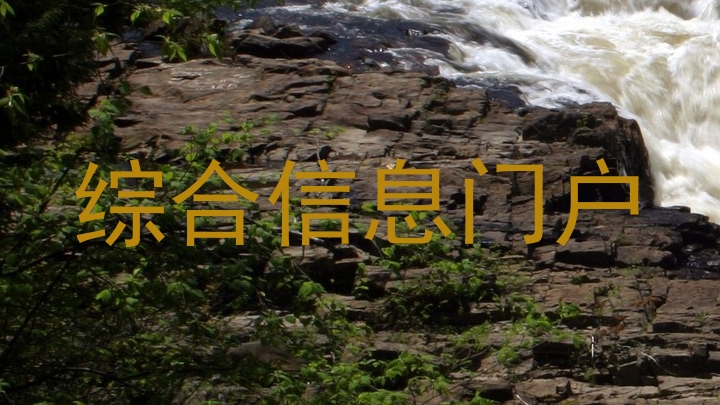 综合信息门户