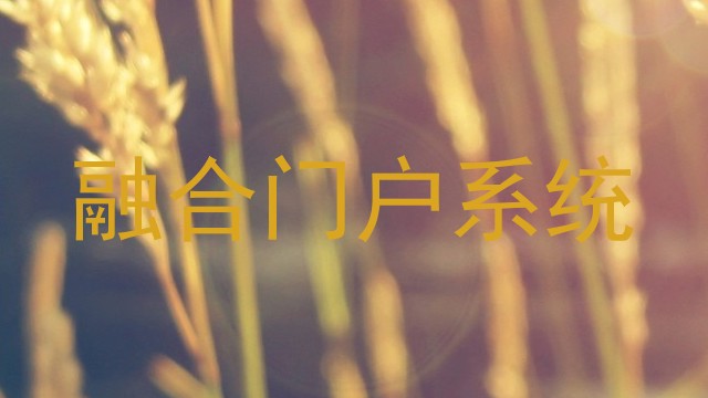 融合门户系统