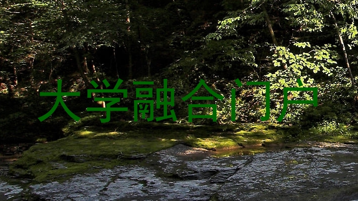 大学融合门户