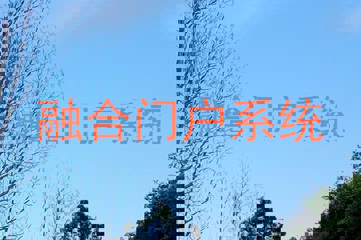 融合门户系统