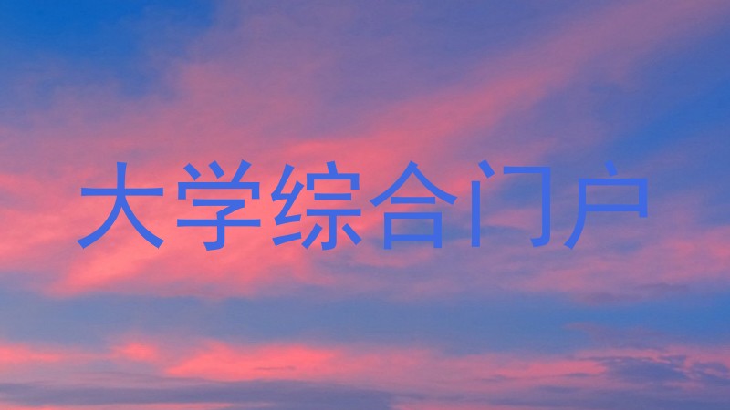 大学综合门户