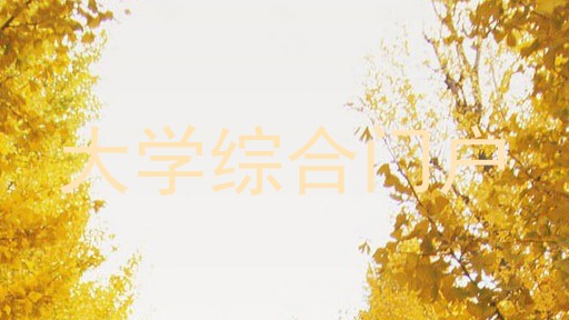 大学综合门户