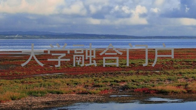 大学融合门户