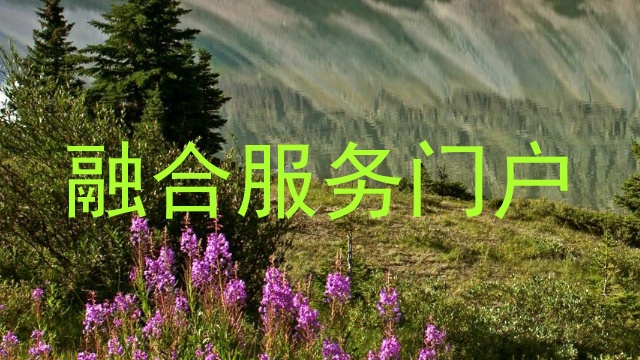 融合服务门户