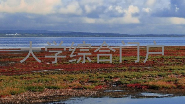 大学综合门户