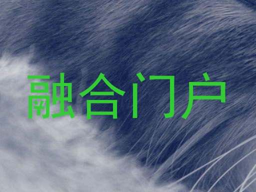 融合门户