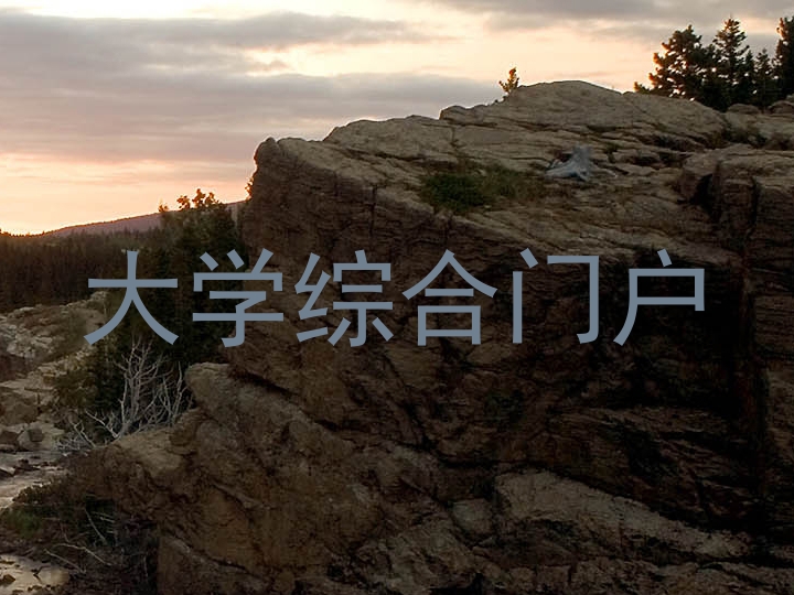 大学综合门户