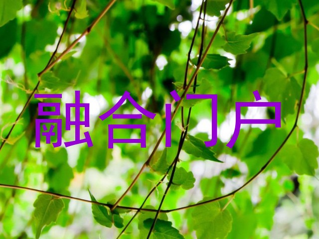 融合门户