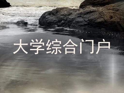 大学综合门户