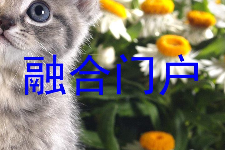 融合门户