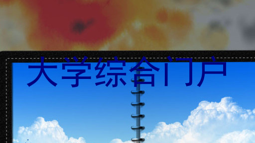 大学综合门户