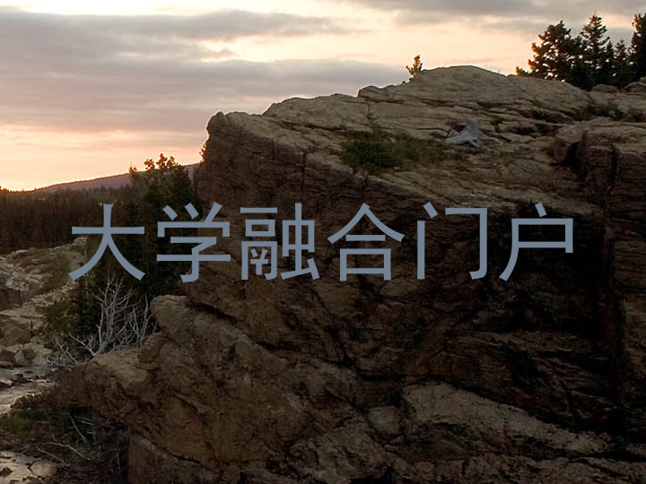 大学融合门户