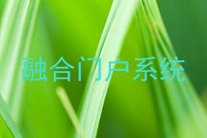 融合门户系统