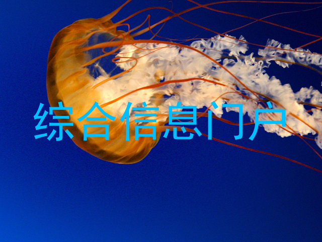 综合信息门户