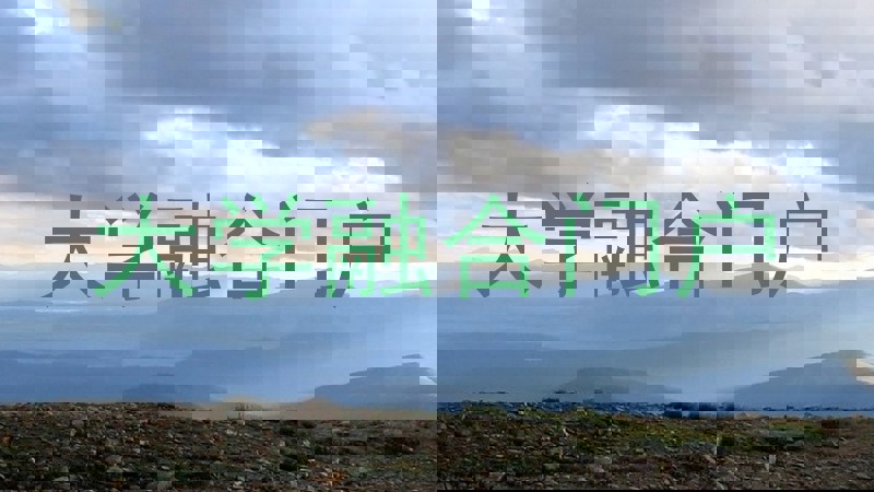 大学融合门户