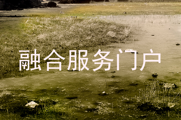 融合服务门户