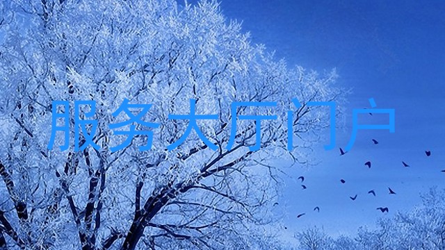 服务大厅门户