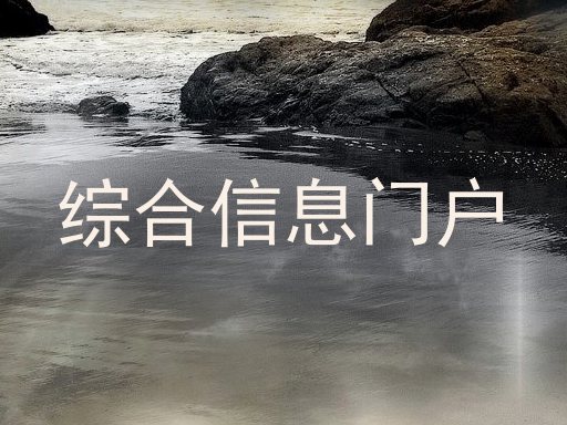综合信息门户