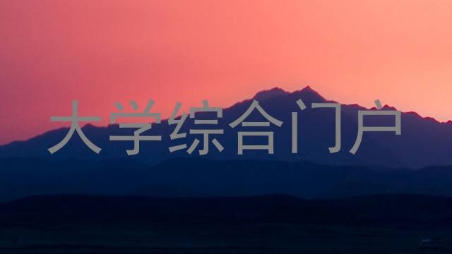 大学综合门户
