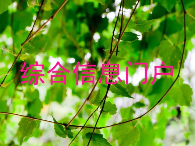 综合信息门户