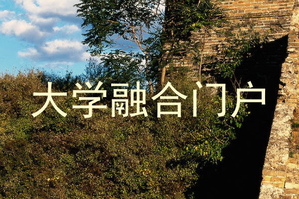 大学融合门户