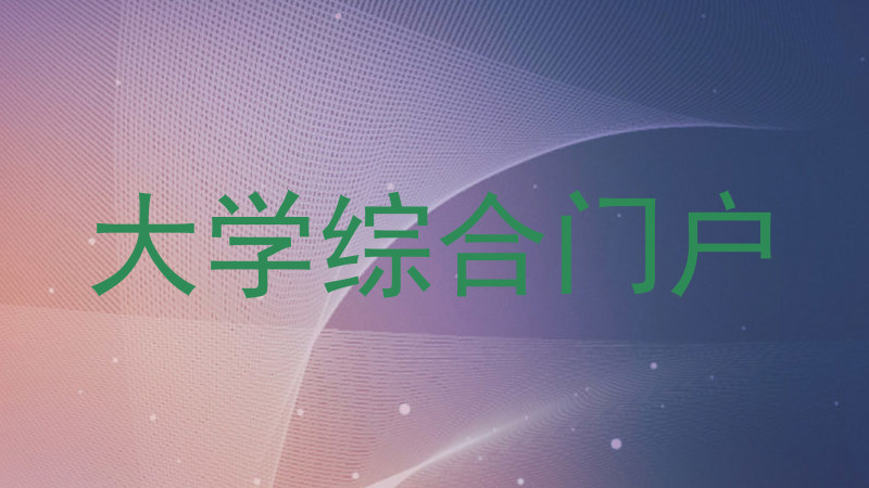 大学综合门户