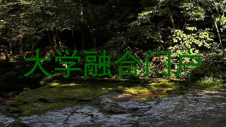 大学融合门户