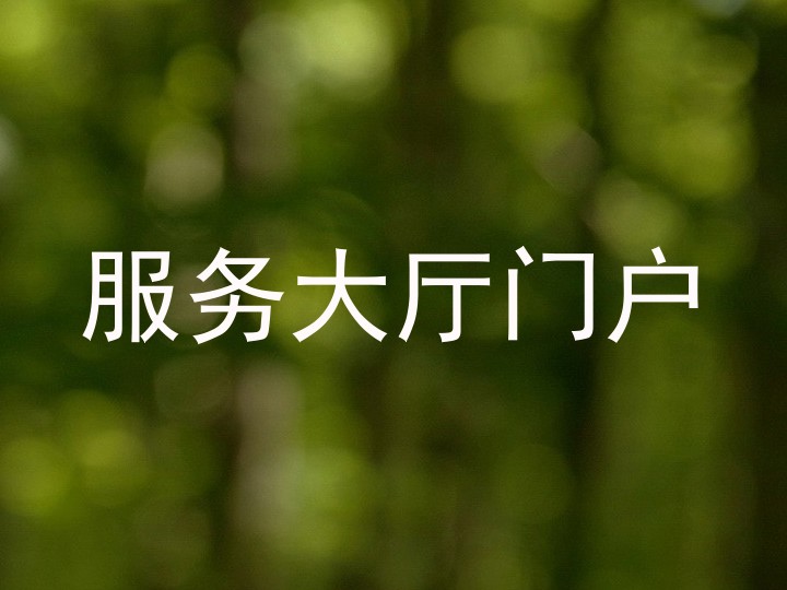 服务大厅门户