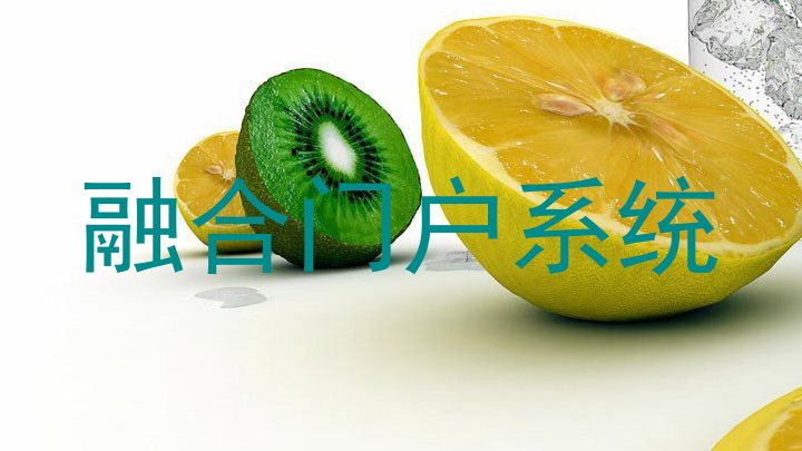 融合门户系统