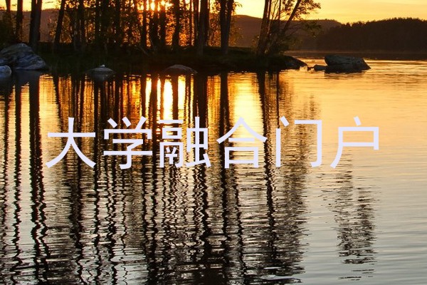 大学融合门户