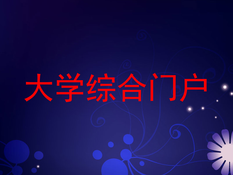 大学综合门户