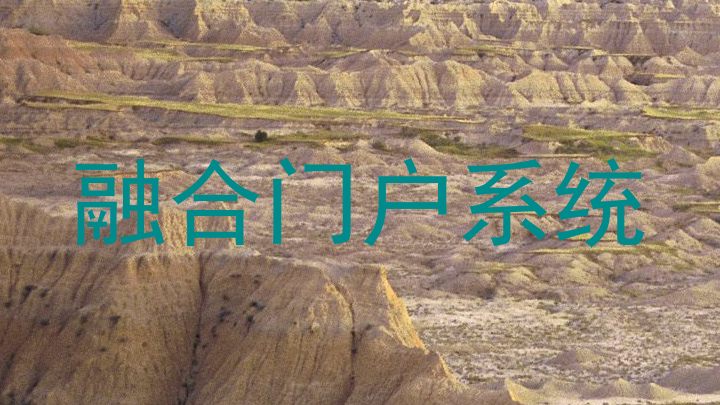融合门户系统
