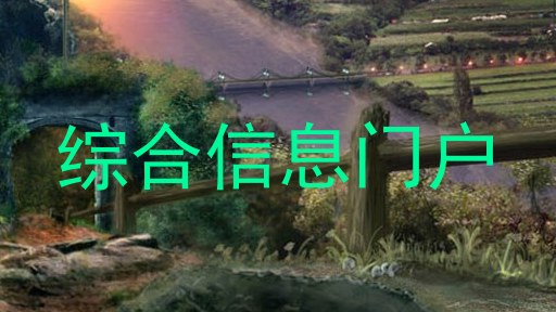 综合信息门户
