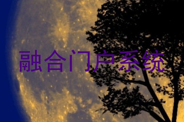 融合门户系统
