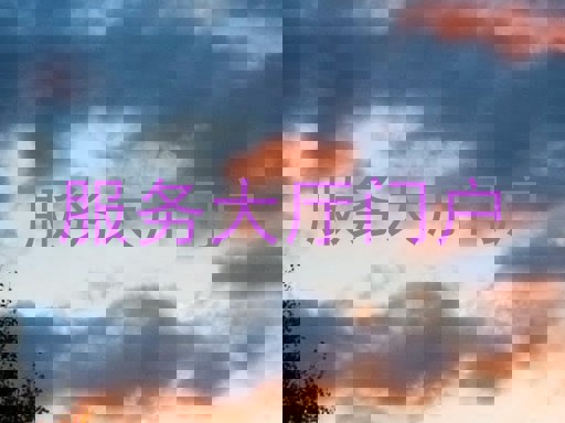 服务大厅门户
