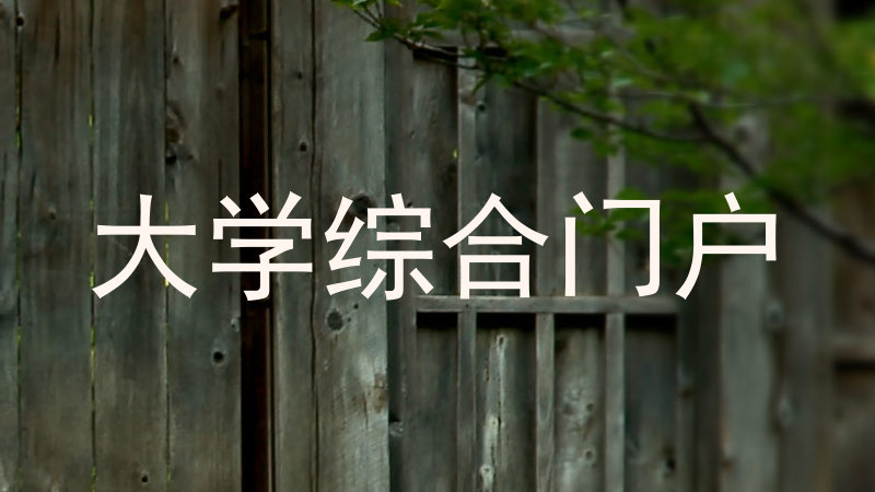 大学综合门户