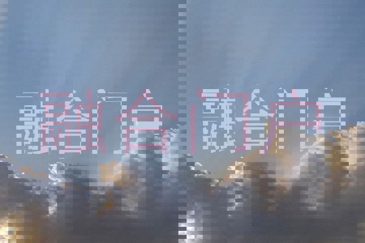 融合门户