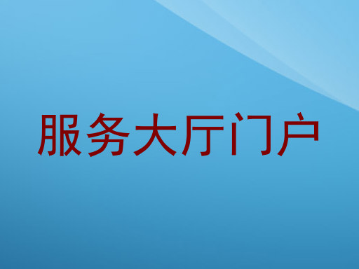 服务大厅门户