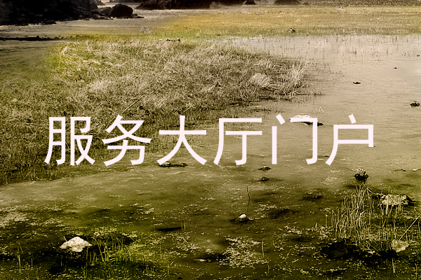 服务大厅门户