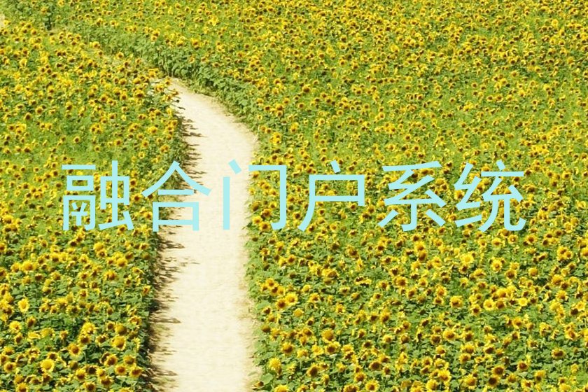 融合门户系统